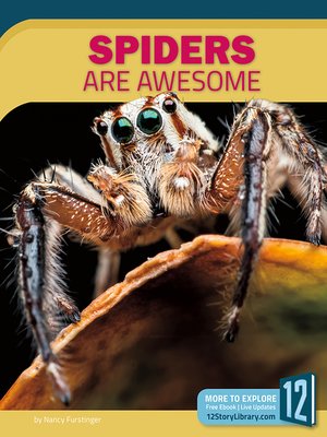 cover image of Spiders Are Awesome